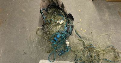 Warning after man arrested on suspicion of poaching trout and illegal fishing net seized in Newbiggin by the Sea