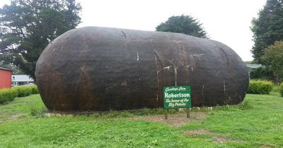 South Coast attraction named Australia's sh--test big thing