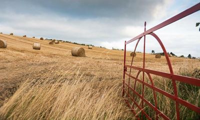 Rooted by Sarah Langford; Regenesis by George Monbiot reviews – how to fix farming