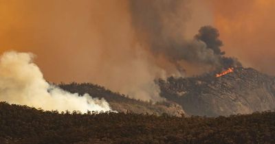 'Grateful' NSW residents closer to being heard in Orroral Valley fire inquiry