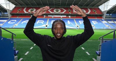 This is Romaine Sawyers, the ball-playing midfield creator Cardiff City badly need who idolised a Bluebirds fans' favourite
