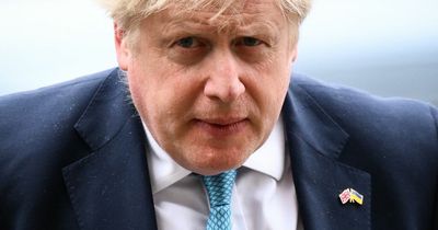 Tories accuse Boris Johnson of lying and 'covering up sexual abuse' as resignations mount