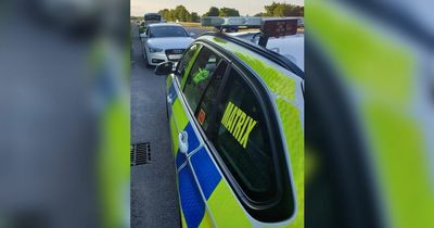 Stolen Audi driven wrong way down the M57 to escape police