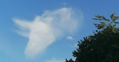 Mystery after cloud that looks like a massive unicorn spotted over stables