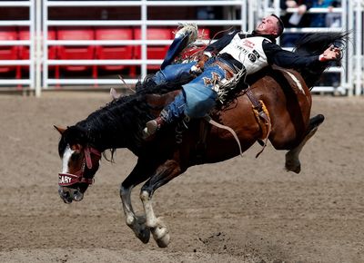 Calgary Stampede back on with oil prices high, COVID rules low