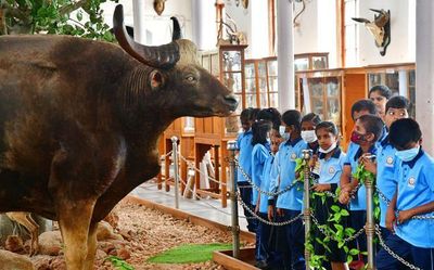 Gass Forest Museum in Coimbatore is now open for visitors