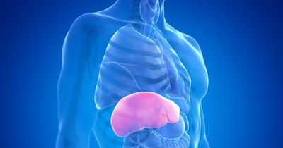 Alcohol-related liver disease: Simple warning sign to watch out for when on the loo