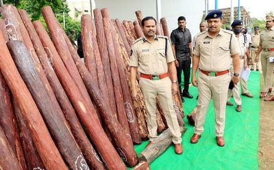 Tirupati police crack down on red sanders offenders at Bhakarapet