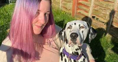 Edinburgh woman launches thriving dog boutique in memory of her tragic pooch