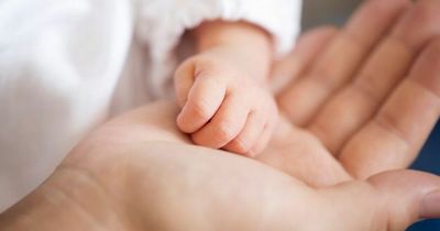 Babies exposed to liver disease-triggering chemicals 'before they are even born'