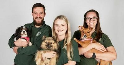 Channel 4's The Dog House is looking for adopters for its new series