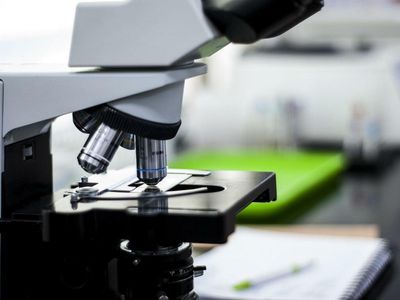 Why Veru Stock Is Soaring