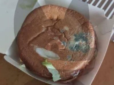 Russia's McDonald's Replacement Serves Moldy Buns And Insect Legs In The Meals: Report