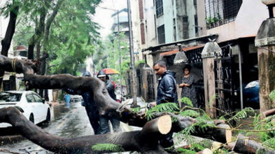 Another wet day, Mumbai rain to soon breach 1,000mm mark