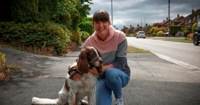 Nottinghamshire dog walkers furious as they could face fine over waste bags