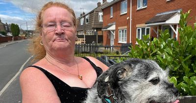 Nottinghamshire community devastated after family 'lost everything' in fire including two dogs