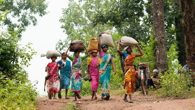 Government to approve cutting down of forests without consent from tribals and forest dwellers