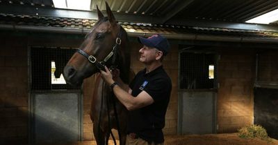 TOOHEY'S NEWS: Hunter horse training legend Kris Lees has Newcastle in the bloodline