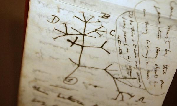The tree of life: with Darwin from Genesis to genomics