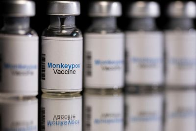 WHO reports two new monkeypox deaths, cases in new areas