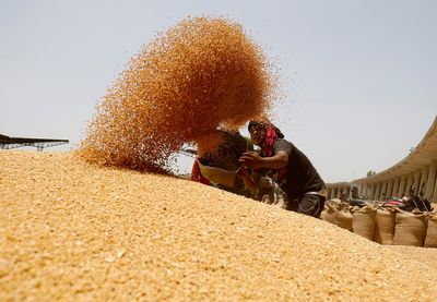 Yemenis hope to import wheat from India as food runs low - minister