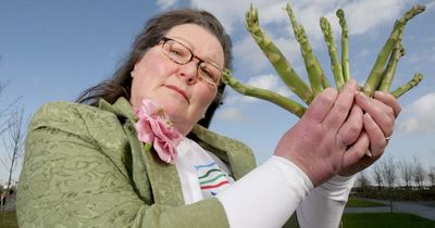 Next prime minister named - by psychic who uses asparagus to tell future