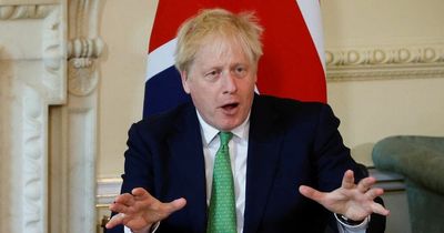 What Boris will do next - either House of Lords or I'm A Celebrity