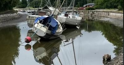 Fish left dying in 'inches of water' as iconic beauty spot 'needs saving'