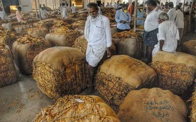 Andhra Pradesh: Markfed creates history in tobacco export