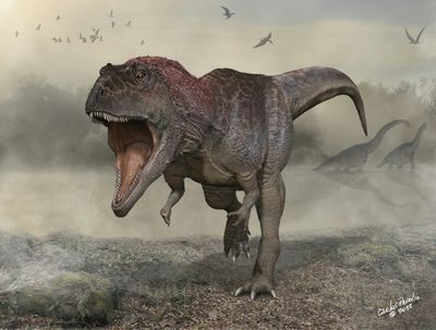 New giant dinosaur predator discovered with tiny arms, like T. rex