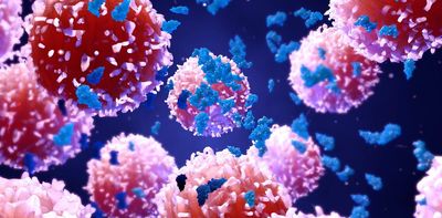 How the cell's waste management systems might be targeted to treat cancer
