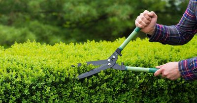 Rogue gardener carried on ripping off customers even as police investigated him