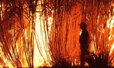 Burning canefields, empty highways and north Queensland feet – is that life?