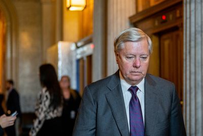Law experts: Graham can run but not hide