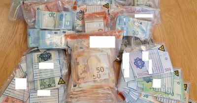 Gardai seize large sum of cash and arrest man in major money-laundering probe