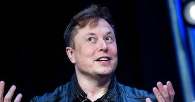 Elon Musk hints he might have more kids after welcoming twins to become father of 10