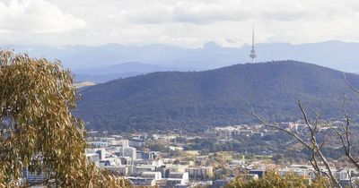 New bushfire management plan, more urban tree planting in $10m budget pledge