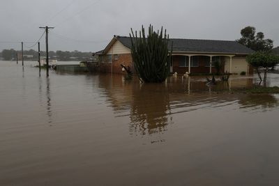 Thousands of Sydney residents return home to assess damage as flood waters recede