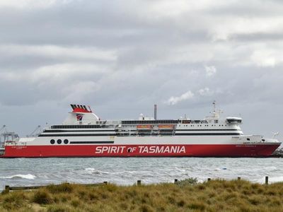 Guilty plea over ferry polo pony deaths