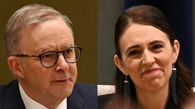 Anthony Albanese says New Zealanders might be allowed to vote in Australian elections, after meeting Jacinda Ardern