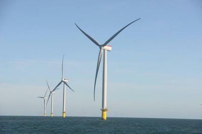 Price of offshore wind power falls to new record low