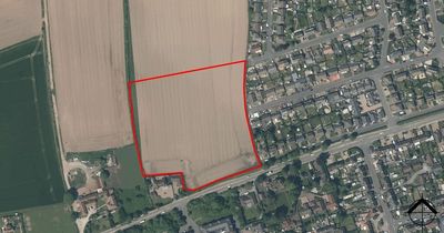 Land next to Sherwood Forest on market for more than £2 million