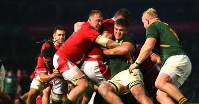 Gwyn Jones tips Wales for historic triumph in second Test as negative Springboks tactics play into their hands