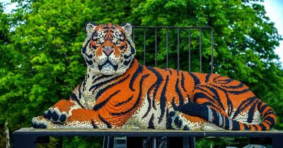 27 life size 'brick' animals including tiger and gorilla to see at Knowsley Safari