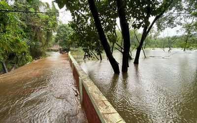 Mangaluru’s Pilikula Zoo closed for visitors due to flooding