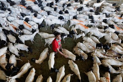 Soaring food prices put damper on Eid al-Adha in Mideast