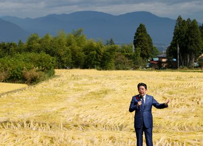 Germany says it is at Japan's side after Abe dies