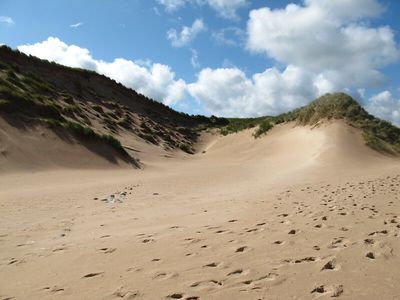 Concern for rare wildlife amid plans to build golf course on Scottish sand dunes