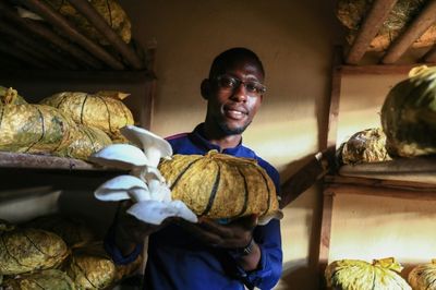 Cameroon's mushroom growers looking beyond the kitchen