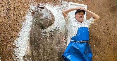 Edinburgh fishmonger shares picture of giant six-foot halibut caught in North Sea